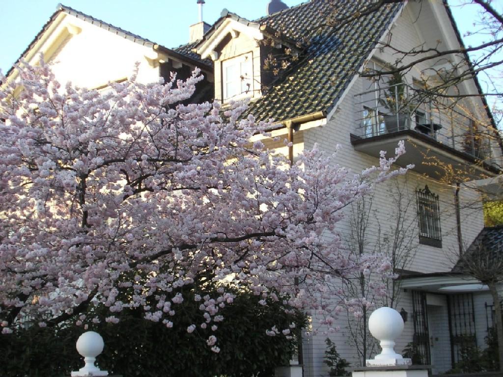 Maria Otis Apartment Düsseldorf